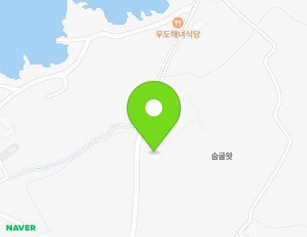 제주특별자치도 제주시 우도면 하우목길 46-2 지도