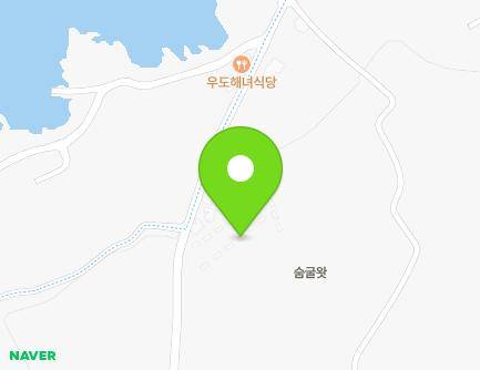 제주특별자치도 제주시 우도면 하우목길 46-8 지도