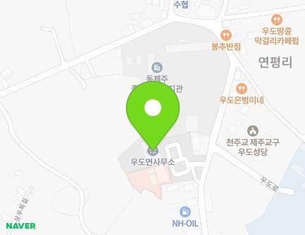 제주특별자치도 제주시 우도면 우도로 153 (우도면사무소,우도보건지소) 지도