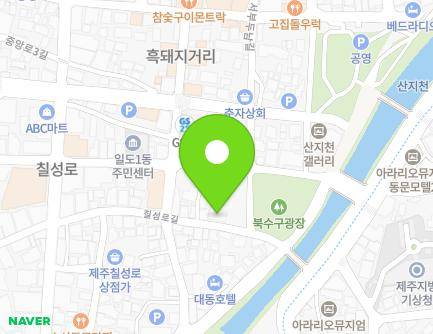 제주특별자치도 제주시 칠성로길 41 (일도일동) 지도