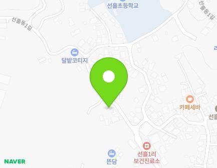 제주특별자치도 제주시 조천읍 선흘동1길 19-1 지도