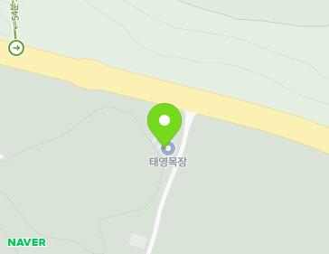제주특별자치도 제주시 조천읍 번영로 1768 지도