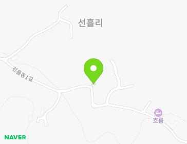 제주특별자치도 제주시 조천읍 선흘동1길 31-68 지도