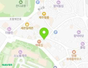 제주특별자치도 제주시 조천읍 함덕27길 29 지도