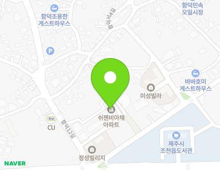제주특별자치도 제주시 조천읍 함덕12길 51 (쉬젠비아채아파트) 지도