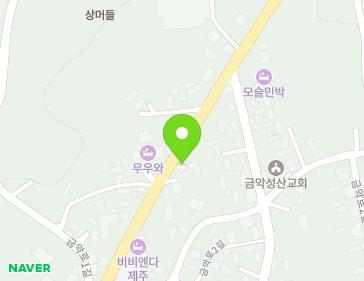 제주특별자치도 제주시 한림읍 금악로 36 지도