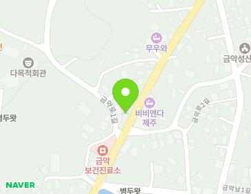 제주특별자치도 제주시 한림읍 금악로 21 지도