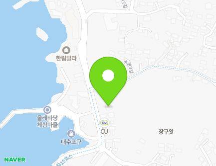 제주특별자치도 제주시 한림읍 한림해안로 276 지도