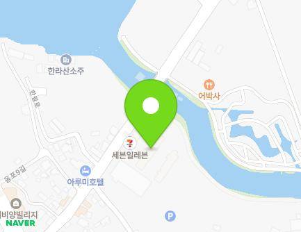 제주특별자치도 제주시 한림읍 한림로 554 (한림오션캐슬아파트) 지도