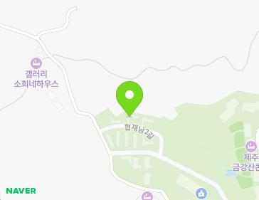 제주특별자치도 제주시 한림읍 협재남2길 45-45 지도