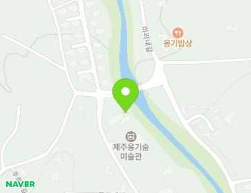 제주특별자치도 제주시 주르레길 55 (해안동) 지도
