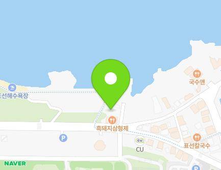 제주특별자치도 서귀포시 표선면 민속해안로 592 (표선해수욕장샤워장) 지도