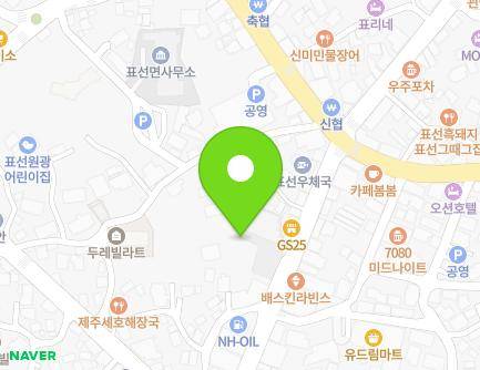제주특별자치도 서귀포시 표선면 표선동서로 233 지도
