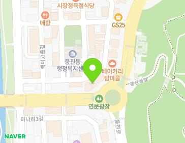 충청남도 공주시 왕릉로 141-1 (금성동) 지도