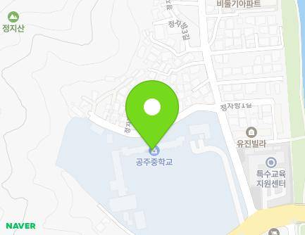 충청남도 공주시 왕릉로 111 (금성동, 공주중학교) 지도