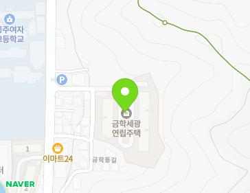 충청남도 공주시 금학동길 29-15 (금학동, 금학세광연립주택) 지도