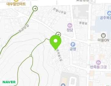 충청남도 공주시 반죽하봉1길 15 (반죽동) 지도