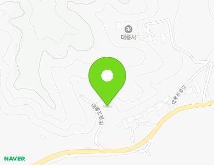 충청남도 공주시 신풍면 대룡조평길 72-8 지도