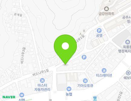 충청남도 공주시 버드나무4길 7-12 (옥룡동) 지도