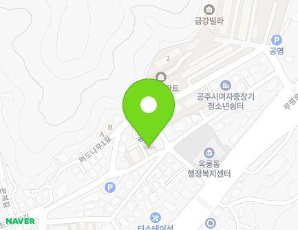 충청남도 공주시 버드나무4길 17 (옥룡동, 중앙빌라) 지도