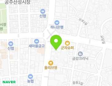 충청남도 공주시 웅진로 178 (중동) 지도