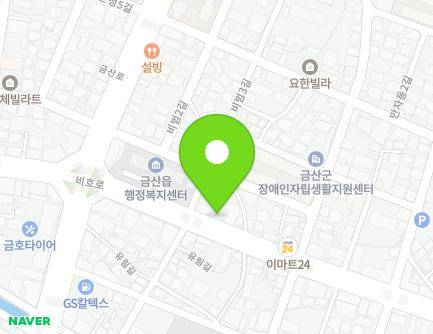 충청남도 금산군 금산읍 비호로 77 지도