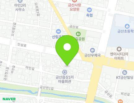 충청남도 금산군 금산읍 아인길 55-6 지도