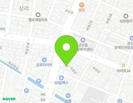 충청남도 금산군 금산읍 유림길 2 지도