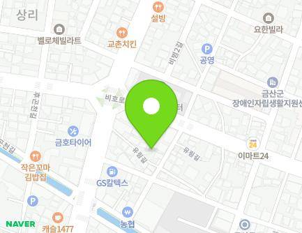 충청남도 금산군 금산읍 유림길 7-1 지도