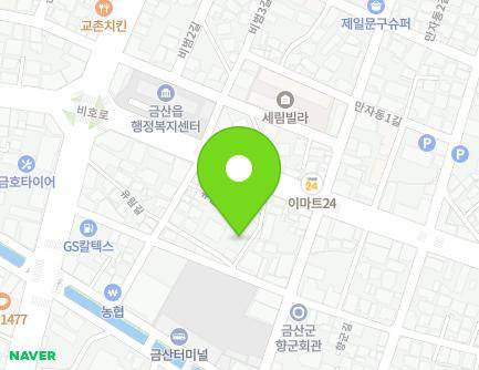 충청남도 금산군 금산읍 유림길 19 지도