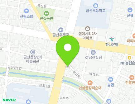 충청남도 금산군 금산읍 금산로 1442-1 (형수당약국) 지도