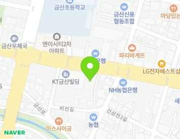충청남도 금산군 금산읍 인삼로 76 (스마트블루) 지도