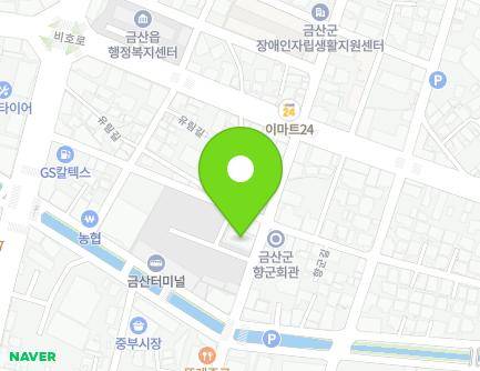 충청남도 금산군 금산읍 비범로 31 (성모병원) 지도