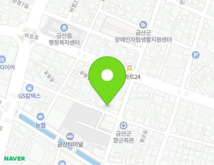 충청남도 금산군 금산읍 향군길 17-1 (신세계약국) 지도