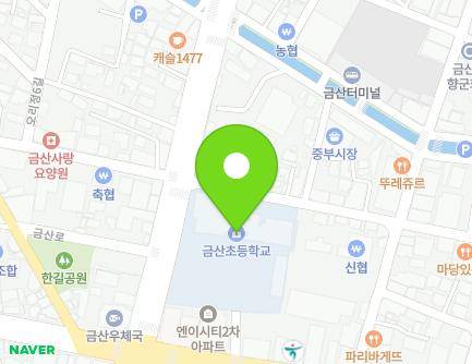 충청남도 금산군 금산읍 인삼로 69 (금산초등학교) 지도