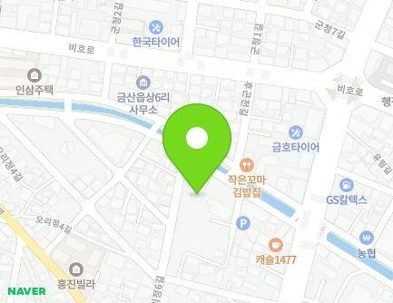 충청남도 금산군 금산읍 후곤천길 56 (금산을지병원) 지도