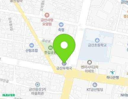 충청남도 금산군 금산읍 인삼로 59 (금산우체국) 지도