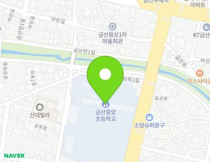 충청남도 금산군 금산읍 금산로 1427 (금산중앙초등학교) 지도