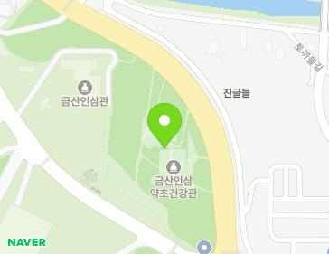 충청남도 금산군 금산읍 인삼광장로 20 (금산인삼약초건강관) 지도