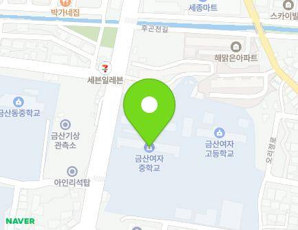 충청남도 금산군 금산읍 인삼로 11 (금산여자중학교) 지도