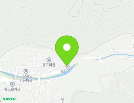 충청남도 금산군 남일면 홍도1길 59 (홍도인삼마을도원농원) 지도