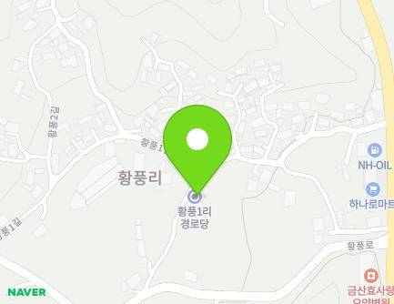 충청남도 금산군 남일면 황풍1길 30 (황풍1리경로당) 지도