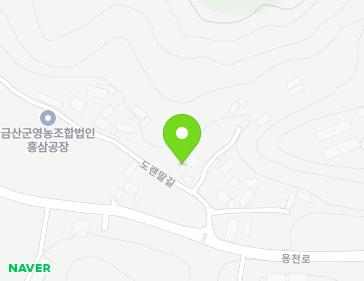 충청남도 금산군 복수면 도랜말길 43 지도
