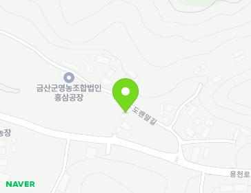 충청남도 금산군 복수면 도랜말길 40 지도