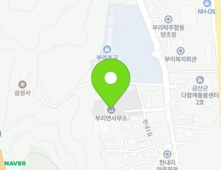 충청남도 금산군 부리면 현내1길 37 (부리면사무소,부리면보건지소) 지도