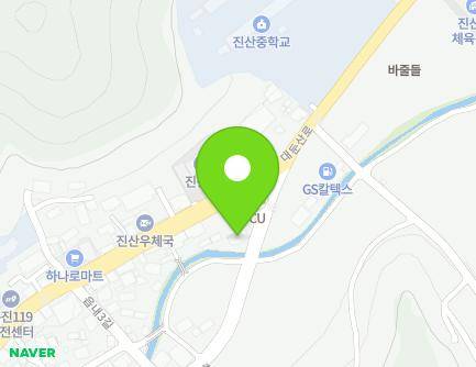 충청남도 금산군 진산면 대둔산로 401 (루가의원) 지도