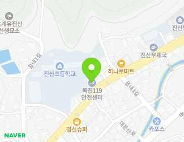충청남도 금산군 진산면 읍내로 47-1 (진산면의용소방대) 지도