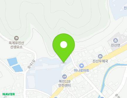 충청남도 금산군 진산면 읍내로 41 (진산초등학교) 지도