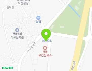 충청남도 논산시 광석면 논산평야로 874 지도