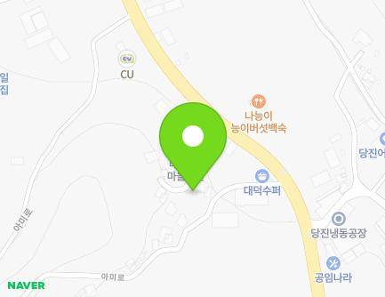 충청남도 당진시 아미로 789-3 (대덕동) 지도